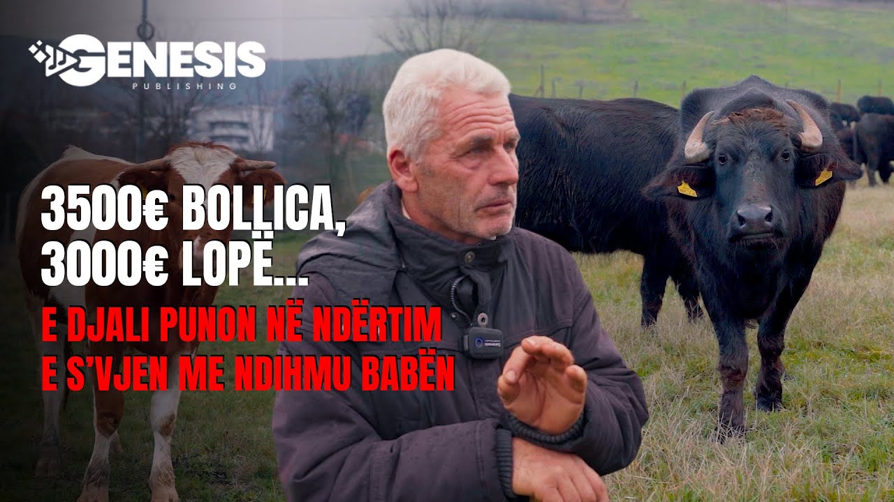 3500€ BOLLICA, 3000€ LOPË… e djali punon në ndërtim e s’vjen me ndihmu babën | HISTORI SUKSESI