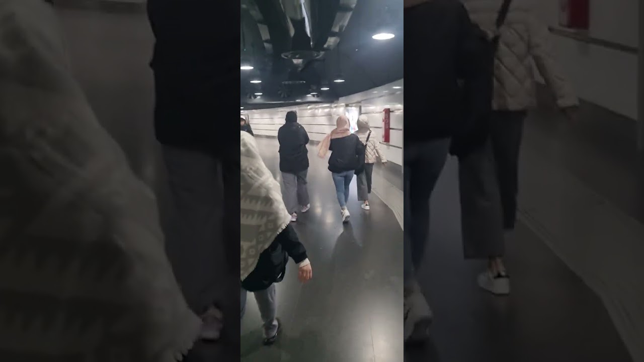 la borseggiatrice dice che non posso seguirla perché in cinta.Ed il tipo variopinto che le difende👊