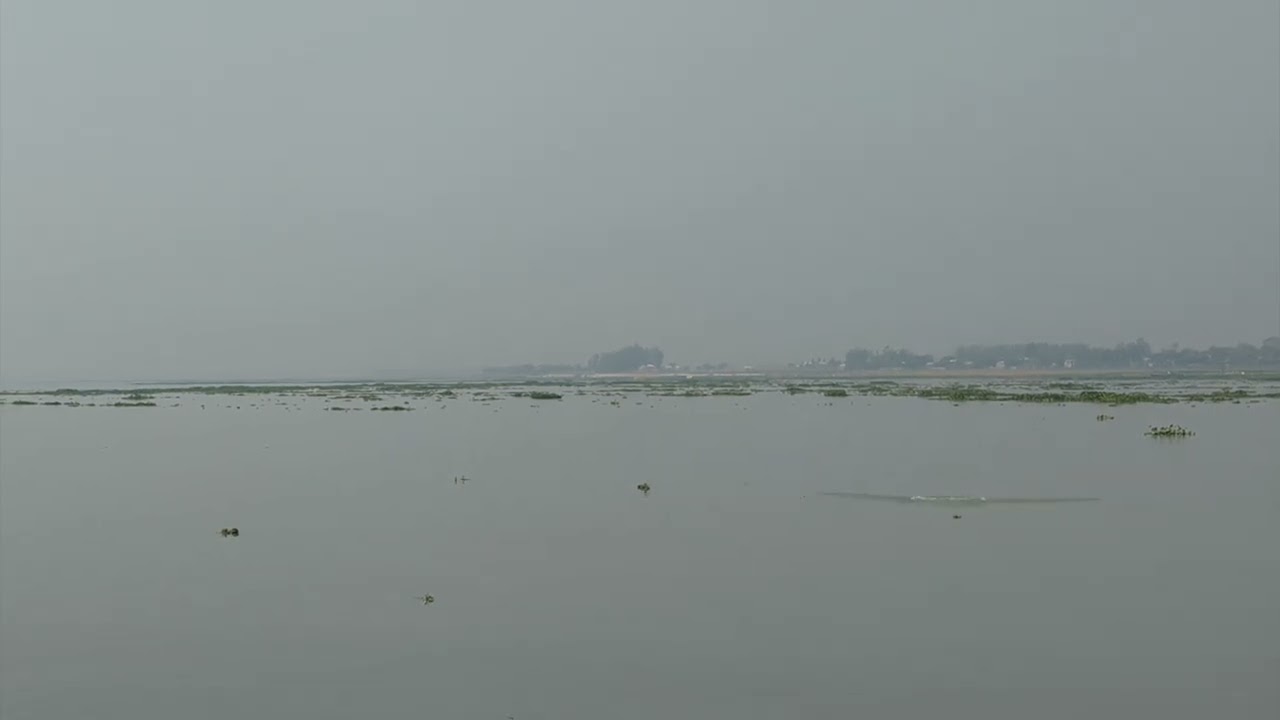 Ganges River dolphin (Shushuk) in Bangladesh | Whale and Dolphin Conservation