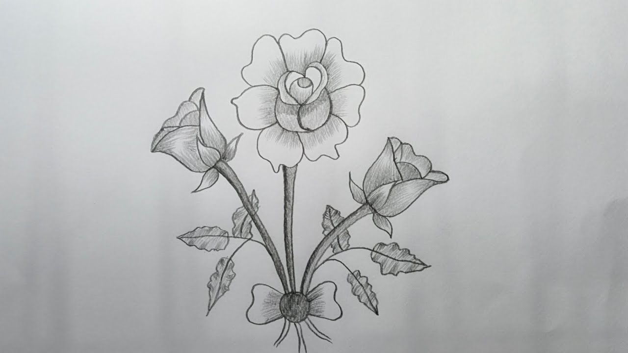 Beautiful Pencil Rose Drawing | Easy Flower Sketch#RoseDrawing#PencilDrawing
