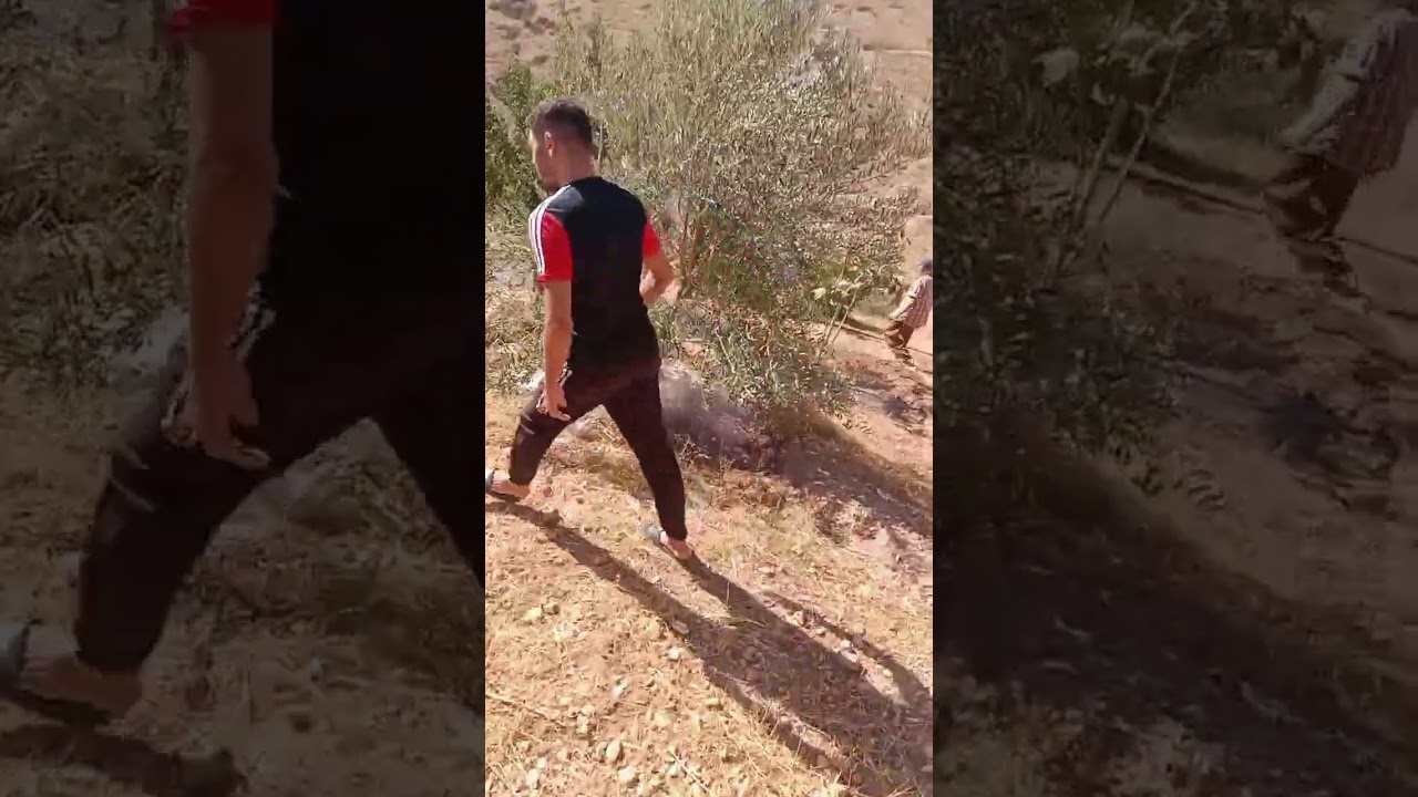 🌿سلام عليكم الخوت جبنا ليكوم الارض كولشي كاين فيها الماء ضو طريق سكان زيتون .... ياسلام 📞0696499813