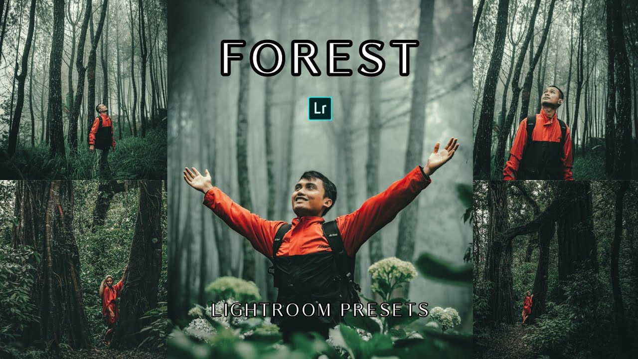 50+ PRESETS LIGHTROOM | FOREST PRESET | LIGHTROOM PRESETS | GREEN PRESET