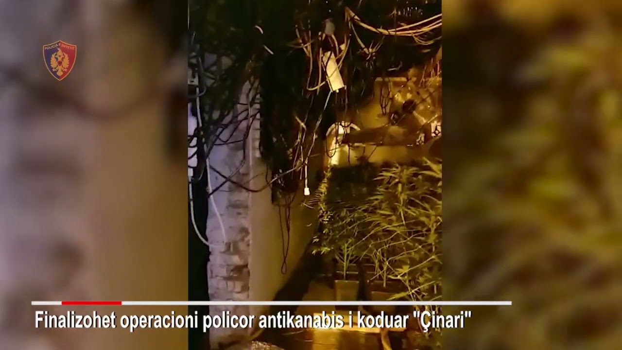 Operacioni Cinari