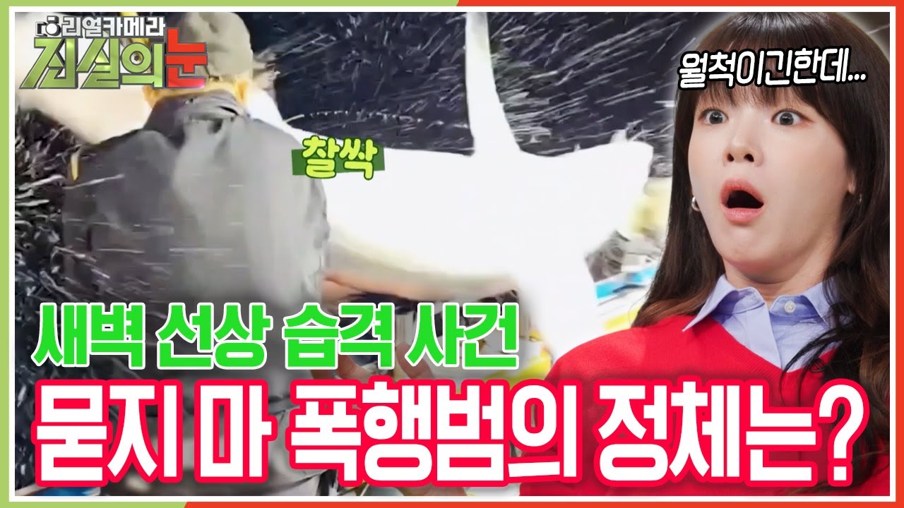 월척을 기대하긴 했는데... 너무 큰 녀석이 나타나버렸다?? 낚시꾼을 폭행(?)한 녀석의 정체는? [리얼카메라 진실의 눈] KBS 251121 방송