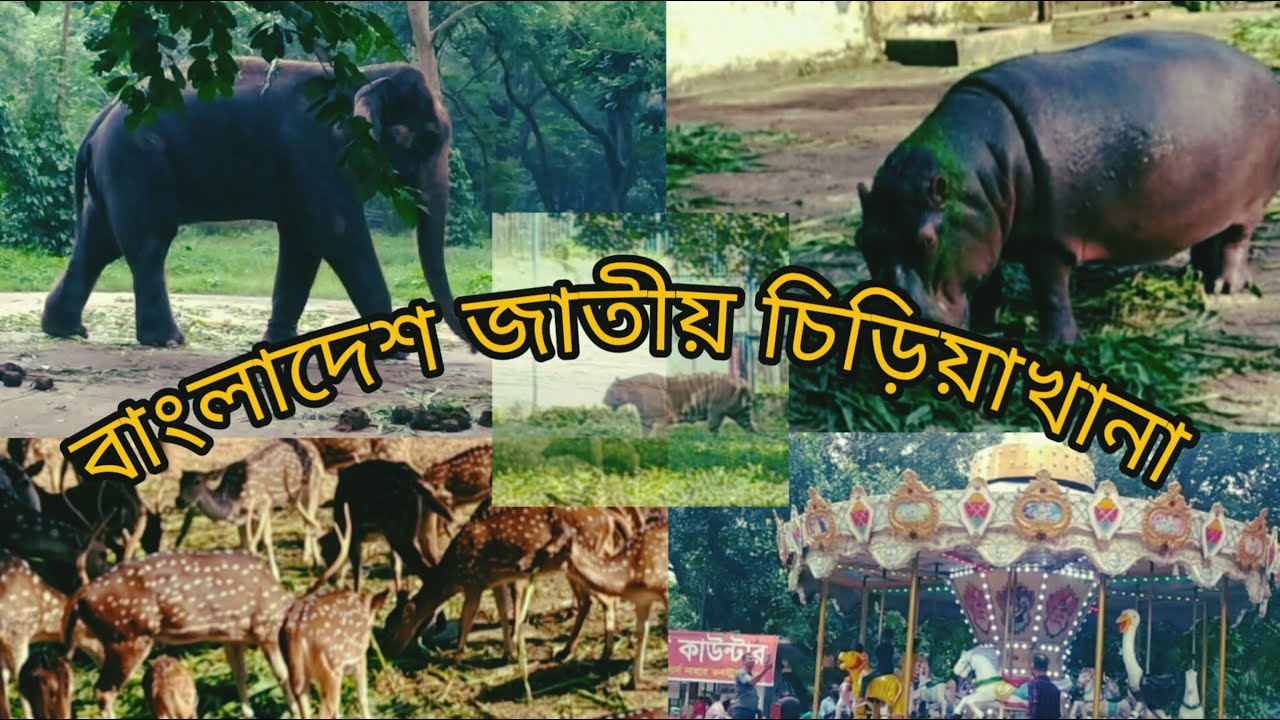 Bangladesh National Zoo,Mirpur,Dhaka.জাতীয় চিড়িয়াখানা।