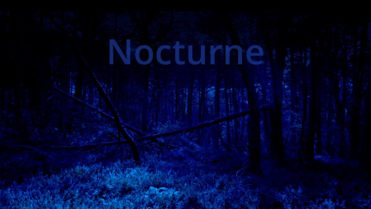 Nocturne B♭minor Op. 9 No. 1 - Frédéric Chopin