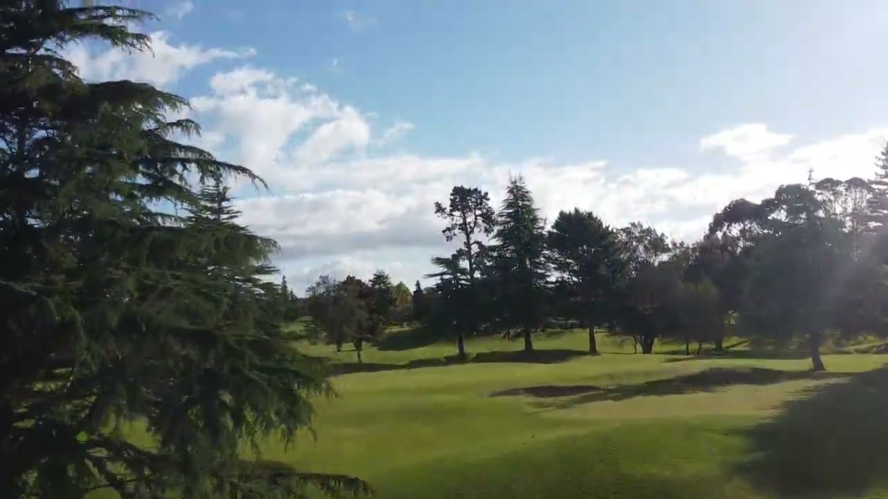 Baumbestand GC Marienfeld
