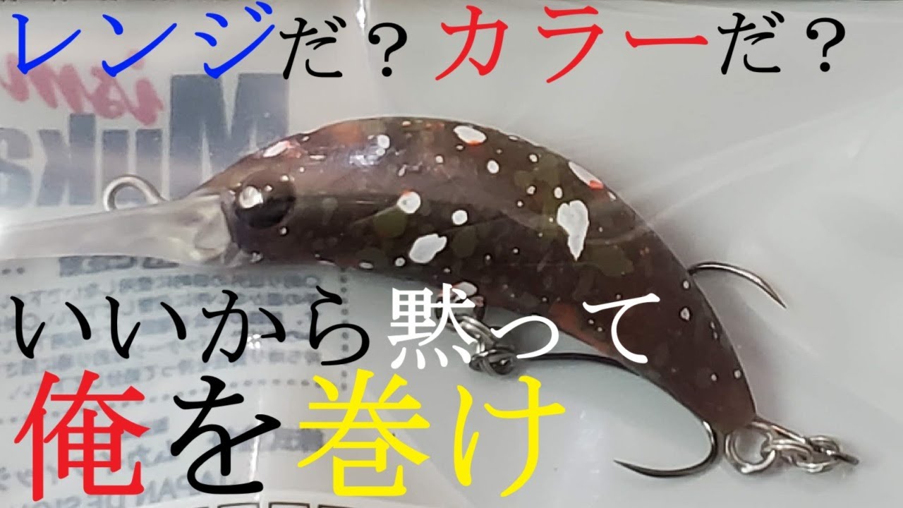 【エリアトラウト】初心者がた～だ巻くだけで釣れるルアーがあるってマジ？【初心者】【ZANMU　IDO】【インプレ】【釣り時々怪盗】