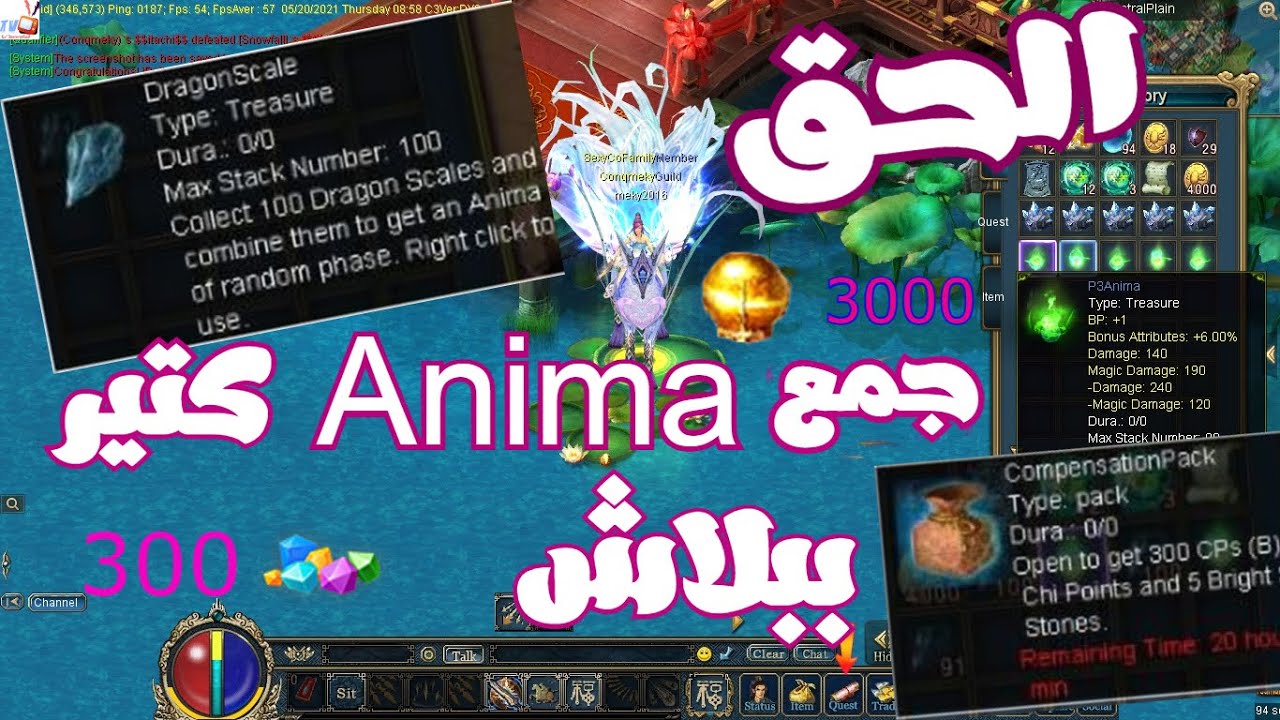 جمع انيما كتير من الارض ببلاش Anima P1 P2 P3  _ شنطة هدايا ببلاش من الجي ام | Conquer Online
