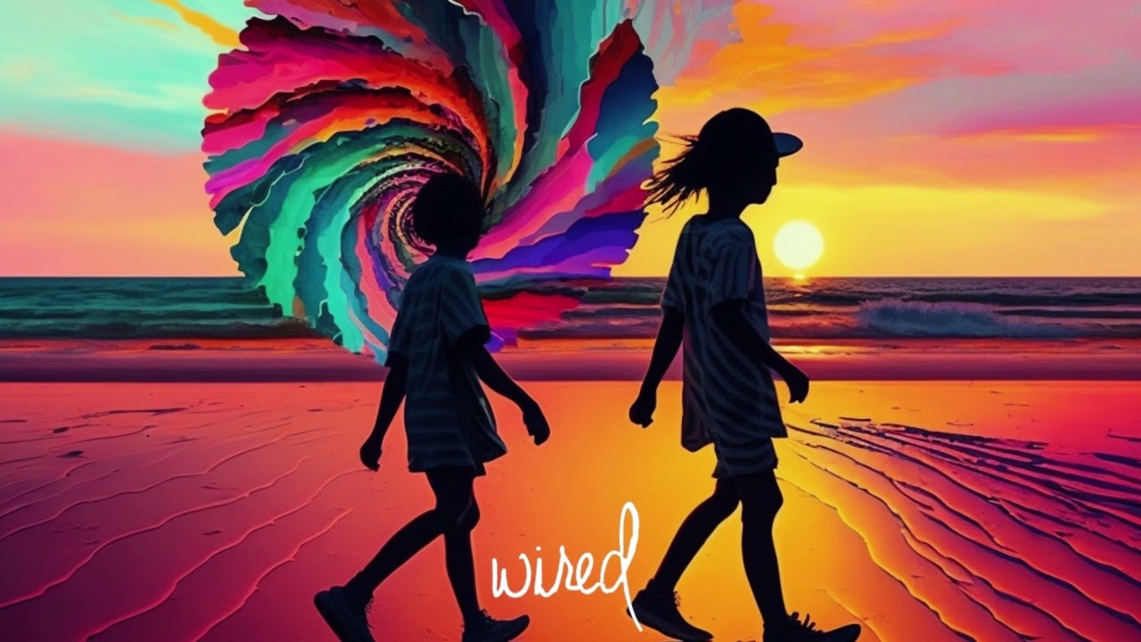 Os Tincoãs - Deixa A Gira Girar (The Wild Child & Habibi Jam Remix)
