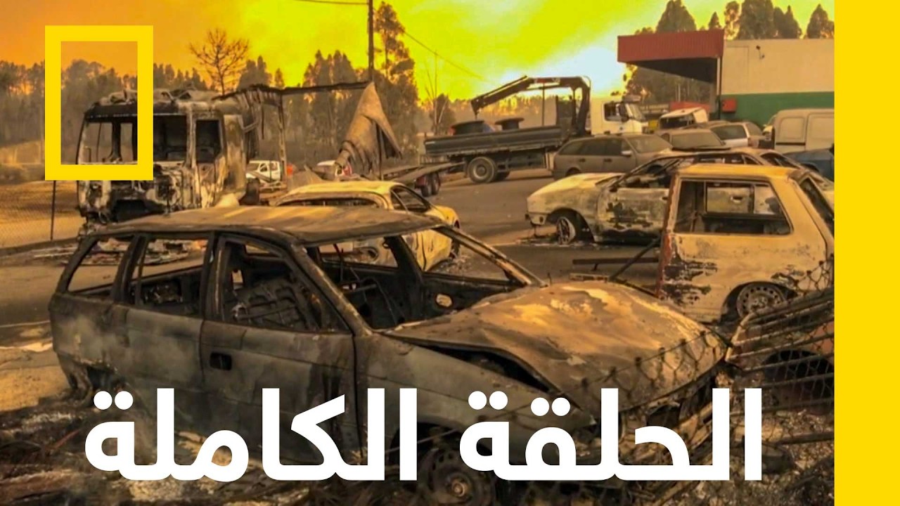 جحيم البرتغال | الشاهد على الكارثة | ناشونال جيوغرافيك أبوظبي