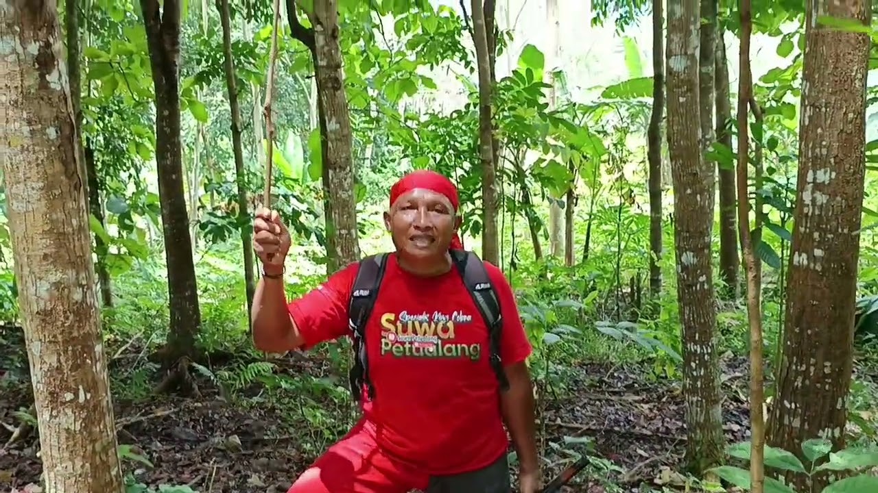 Masuk Habitat ular tanah /gibug !! Tiba-tiba kaki di serang beruntung pakai sepatu booth!!