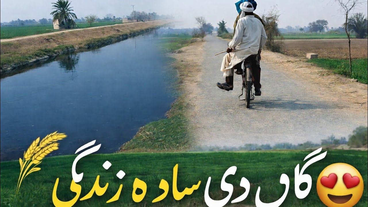 میرا پنجاب | گاؤں کی سادہ زندگی اور خوبصورت نہر کا منظر 🌾