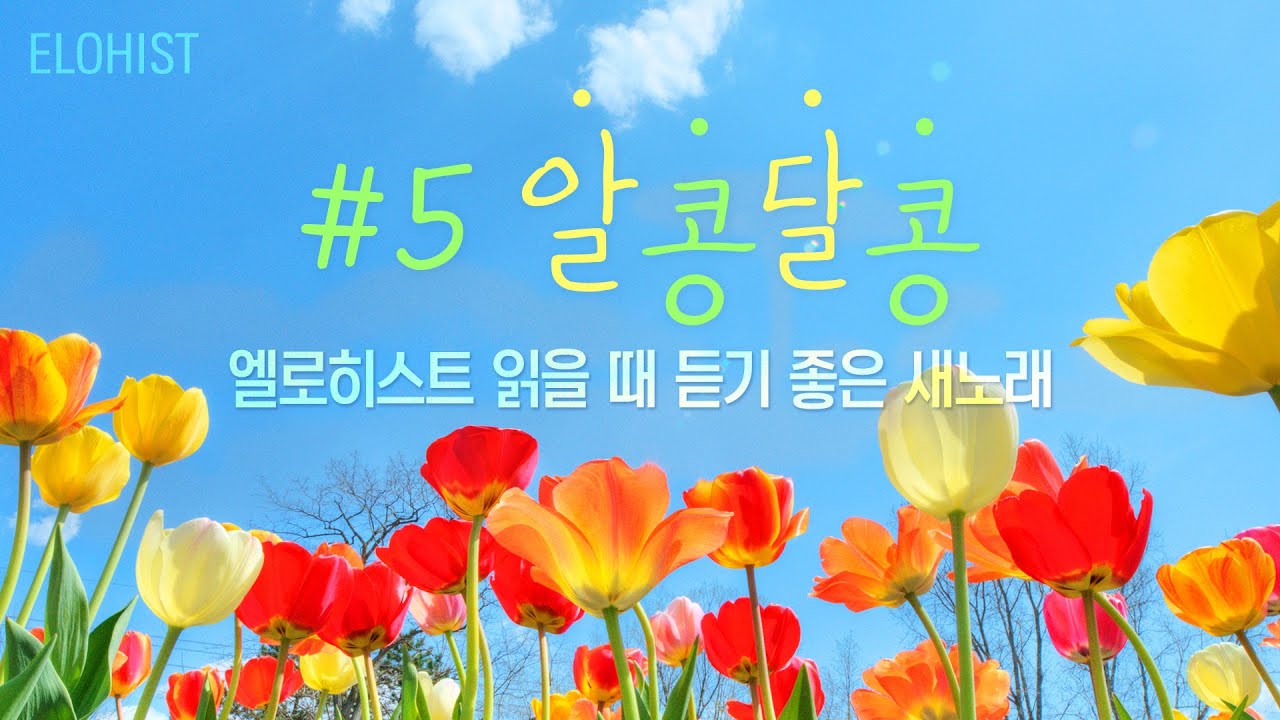 엘로히스트 읽을 때 듣기 좋은 새노래 #5