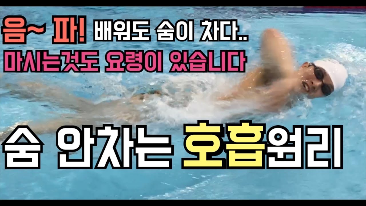 내 영업비밀..꺼냈다 후회안한다(호흡법, 킥판잡는법 디테일)자유형호흡,수영인