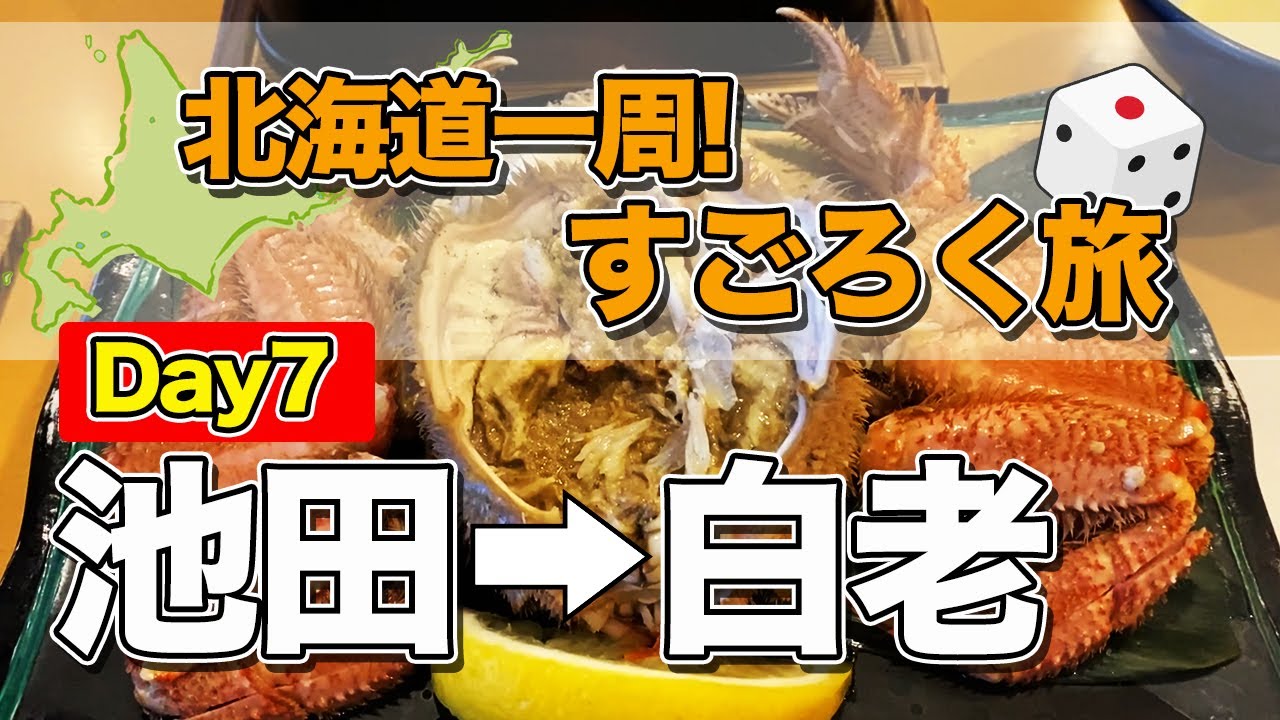 【北海道一周すごろく旅#7】池田ワイン城を堪能した後、白老牛すき焼きと毛ガニ祭りで盛り上がる、そんな国内旅行記【エンイチぶらり旅】