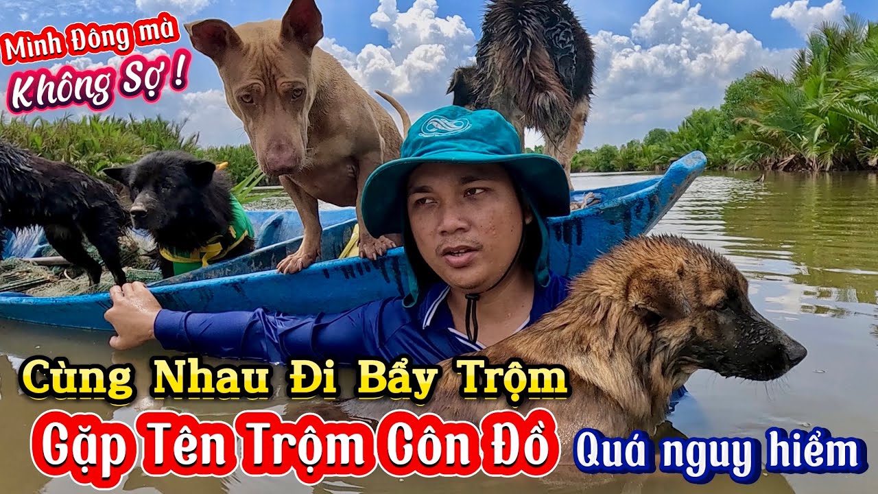 Chiếc Xuồng Chìm Chở Theo Bầy Báo Đi Gài Bẩy Ăn Trộm - Sen Tận Dụng Lại Đồ Bỏ Đi Để Bẩy Trộm