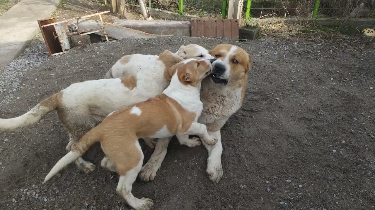 Дебочки с 8 Марта... Всех Благ...