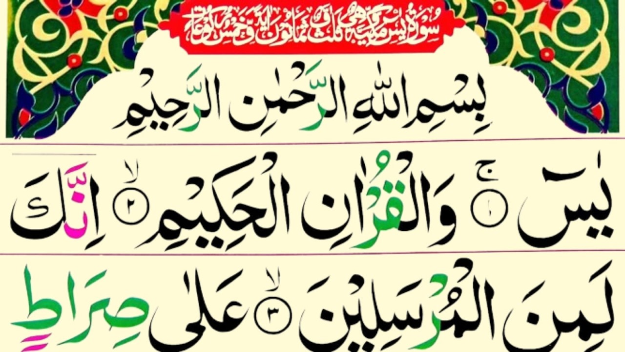 Surah Yaseen Full | Surah Rahman | Quran Recitation | Surah Yaseen Full With Arabic Tex