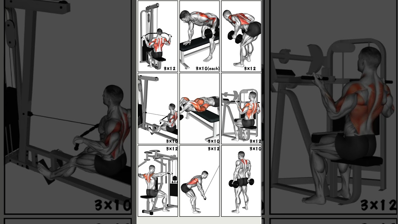 9 Powerfull Back Workout to Transform Upper Body| #workout #backworkout