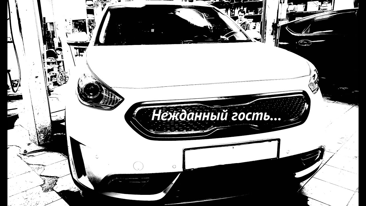 Нежданный гость. Kia Niro Hybrid.