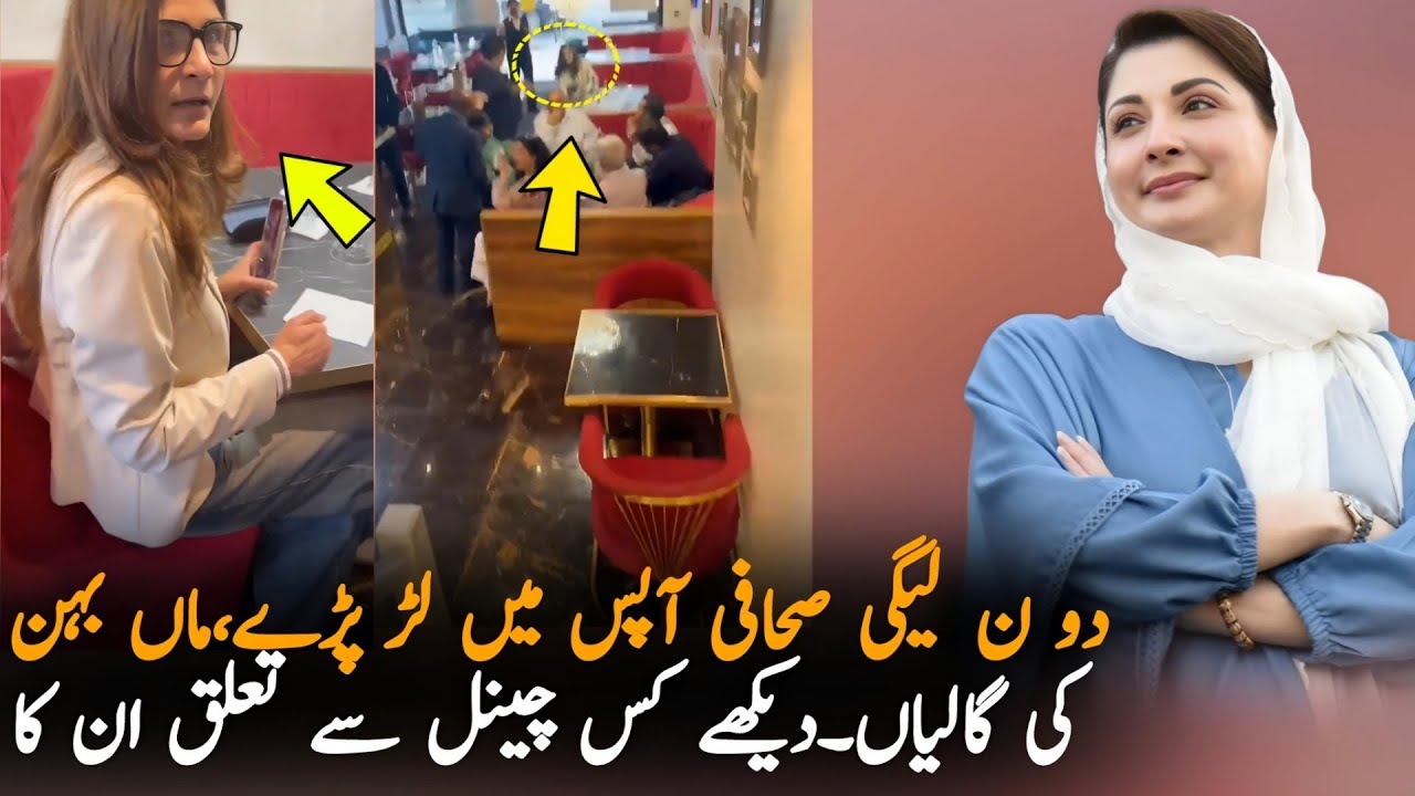 Pro-PMLN Journalist Clash In London What Really Happened Last Night?