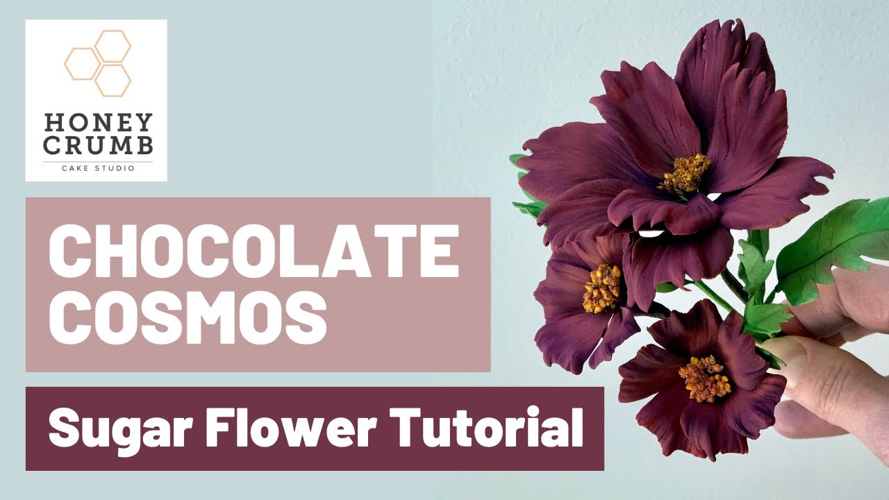 Chocolate Cosmos Tutorial: How to Make Cosmos Flowers out of Sugar