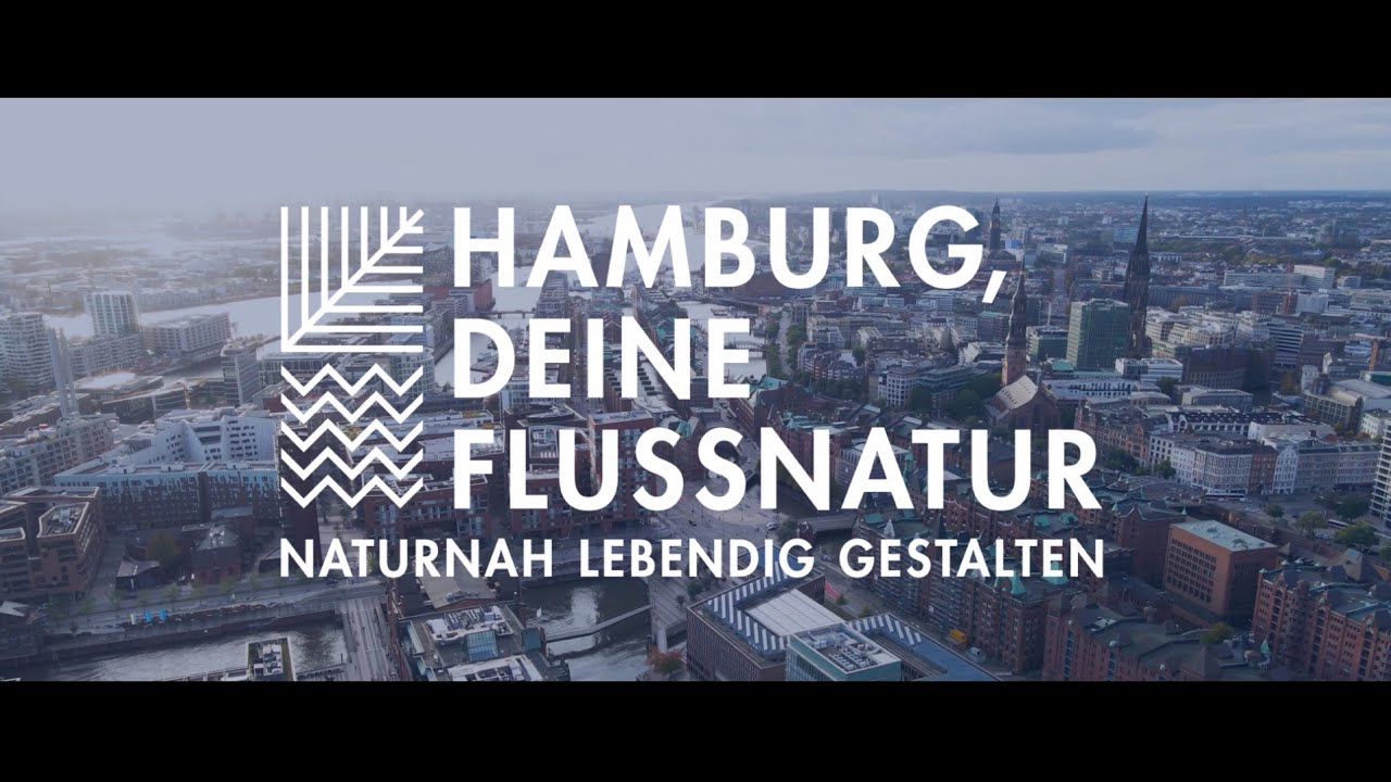 Hamburg, deine Flussnatur, Abschluss der Projektphase 1 | Stiftung Lebensraum Elbe