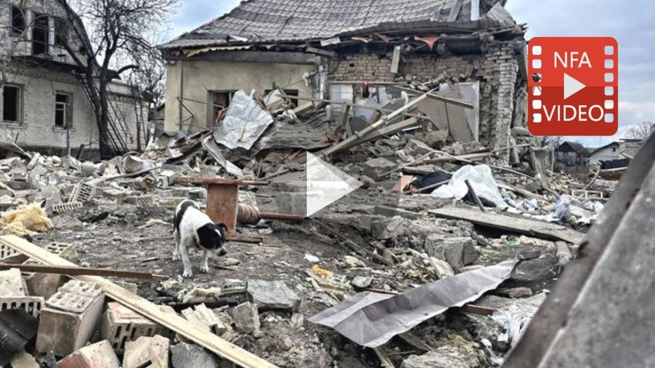 REAL-TIME UPDATE on our daily - hourly - work to save animals in Ukraine!