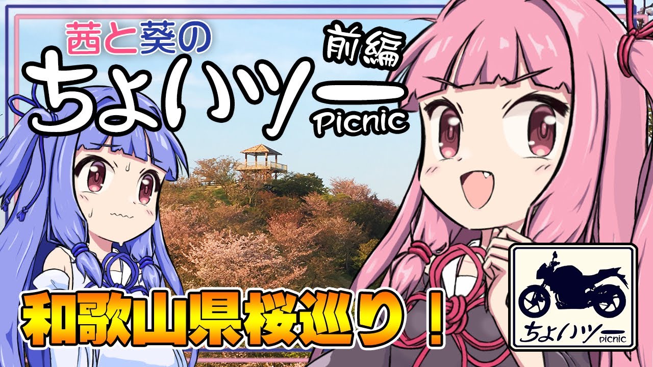 茜と葵のちょいツーPicnic 和歌山県桜巡り！ 前編