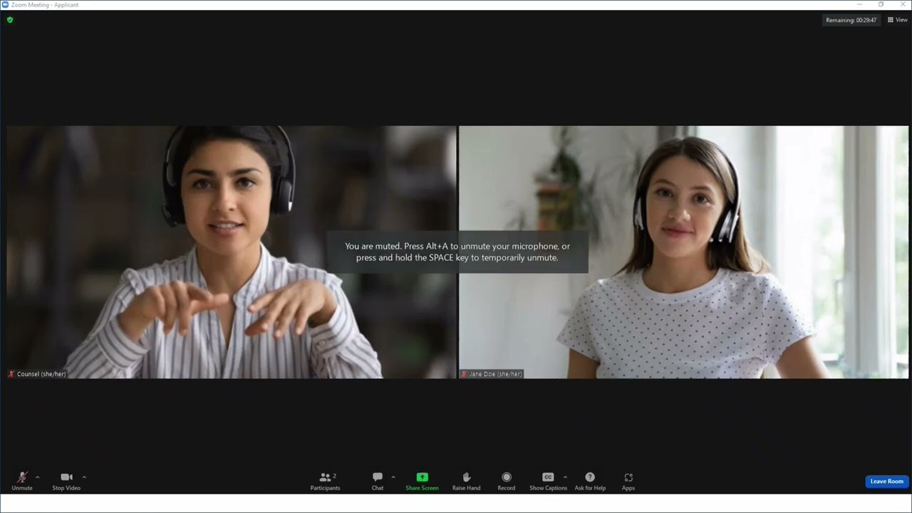 Additional Zoom Controls in a Virtual Proceeding