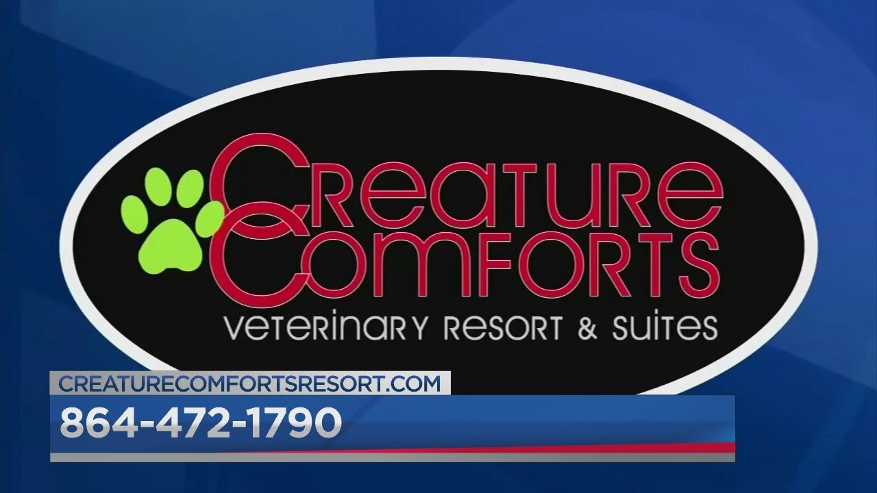 Creature Comforts - Virtual vet visits