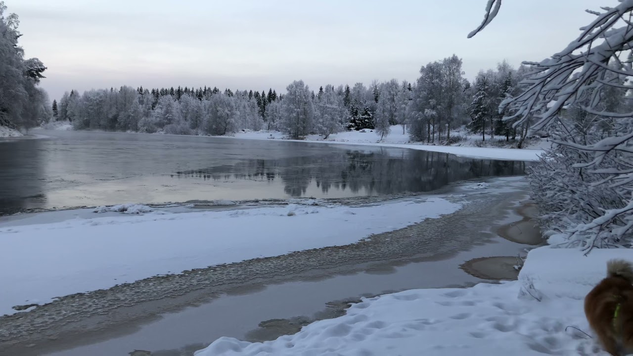 Kiiminkijoki 27.11.2021