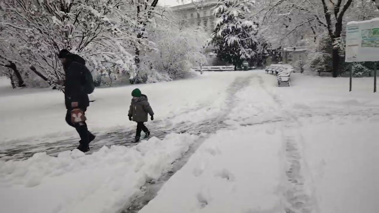 Heavy snowfall in Vienna Austria 