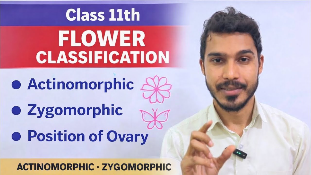 12 | Actinomorphic, Zygomorphic, Ovary Position | | Flower Classification 🔥 | Class 11 | Neet |