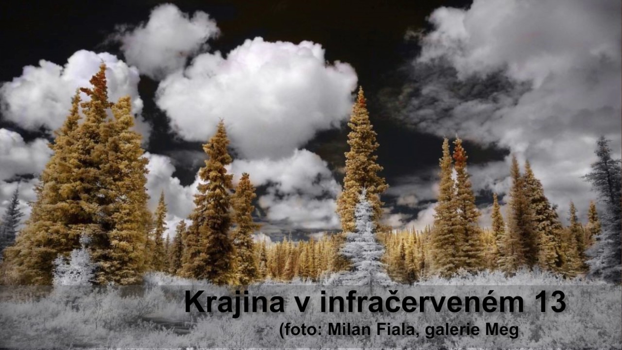 Poradna: Jak vybrat ten správný fotografický filtr