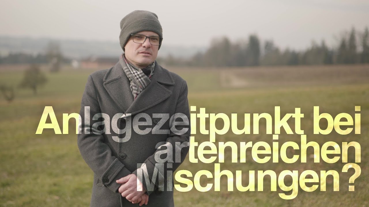 Neueinsaat einer Saatgutmischung mit 30+ Arten: Wann ist der richtige Zeitpunkt?