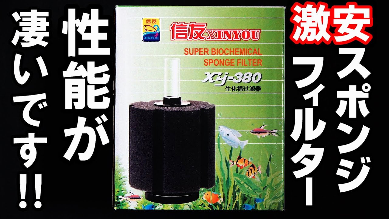 【金魚水槽】激安ｽﾎﾟﾝｼﾞﾌｨﾙﾀｰ！水質チェック！これは凄い！