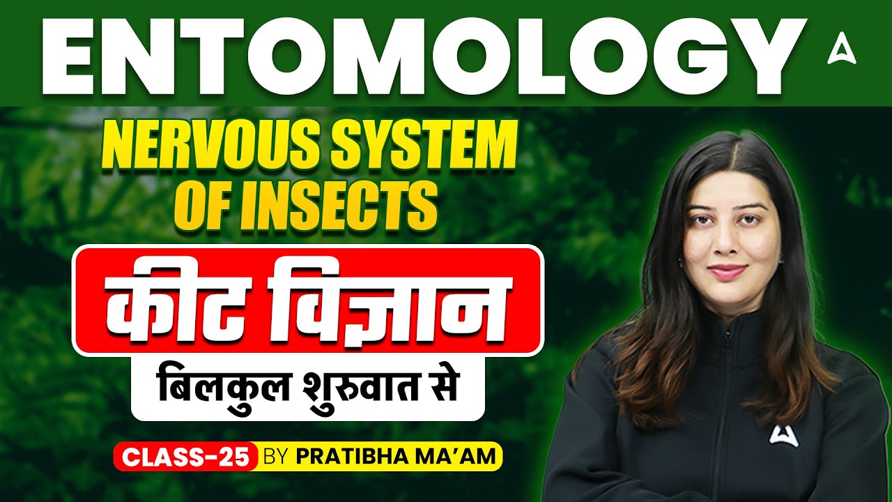 Entomology Nervous system of insects | कीट विज्ञान बिलकुल शुरुवात से Class 25 | By Pratibha Mam