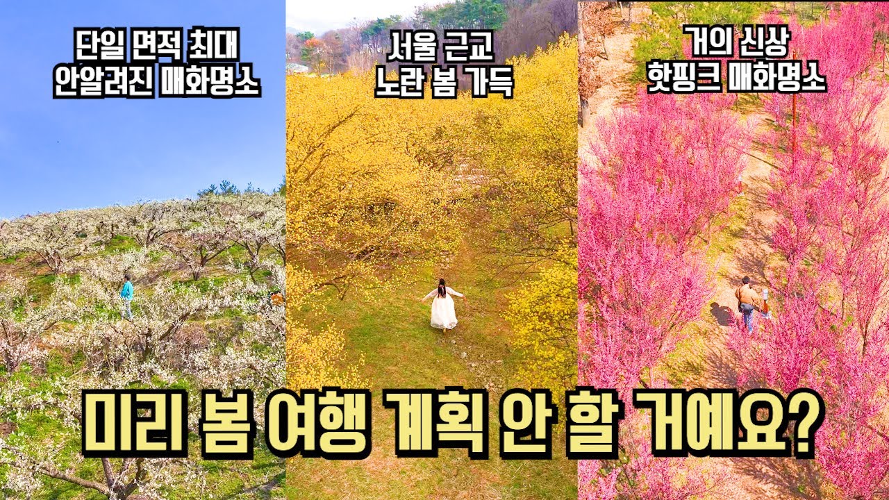 3월 국내 여행 이제는 봄 여행 계획할 때 추천 여행 BEST #국내여행 #여행추천