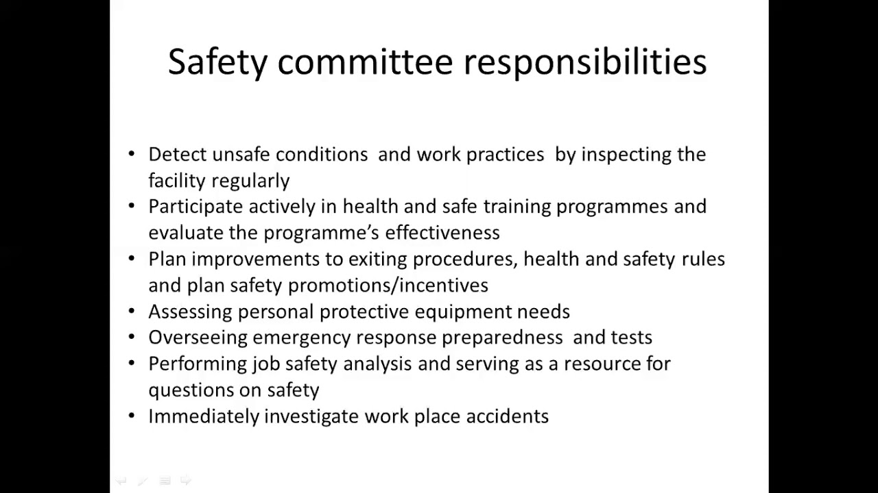 safety committee responsibility