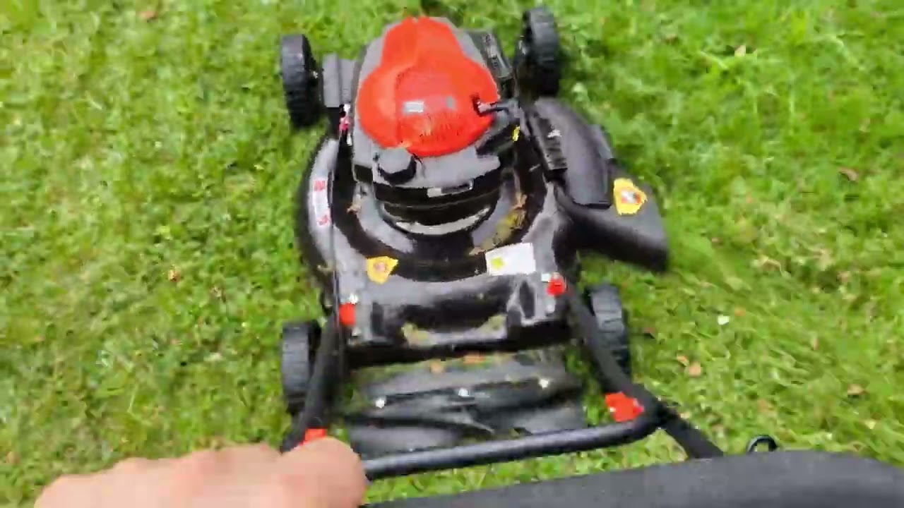 Rudeninis žolės pjovimas su benzinine žoliapjove 2025.09.08d.