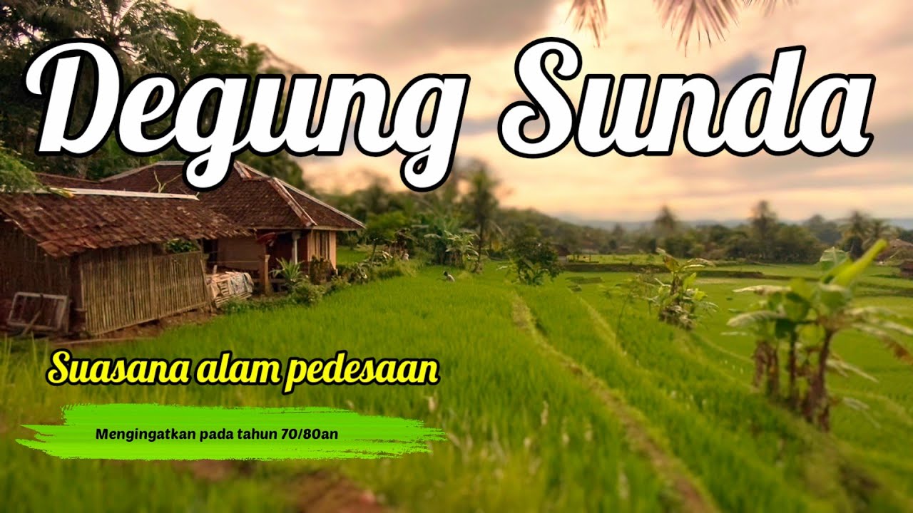 Degung Sunda Pernikahan Cocok diputar Sambil Ngopi di saung sawah sambil mengenang ke tahun 70/80an