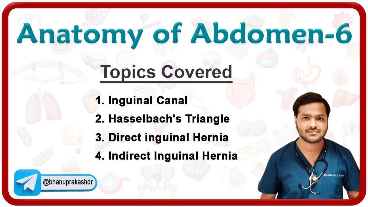 Anatomy Of The Abdomen (Part-6) : Inguinal canal, Hasselbachs Triangle, Hernias