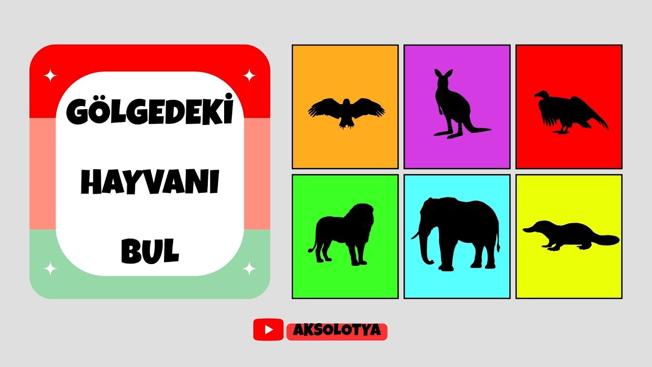 GÖLGEDEKİ HAYVANI BUL OYUNU / Bu 20 hayvanı gölgesinden tanıyabilecek misin?