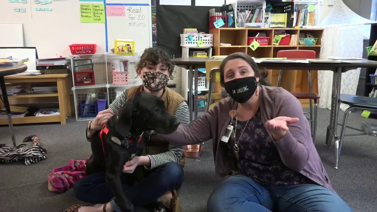 Welcome Back! Spring 2021 | Roosevelt Elementary School KCS