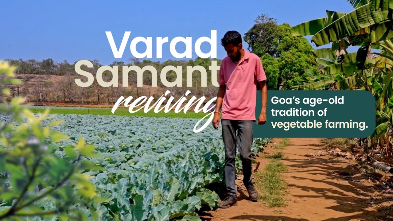 Varad Samant is reviving Goa’s age-old tradition of vegetable farming.