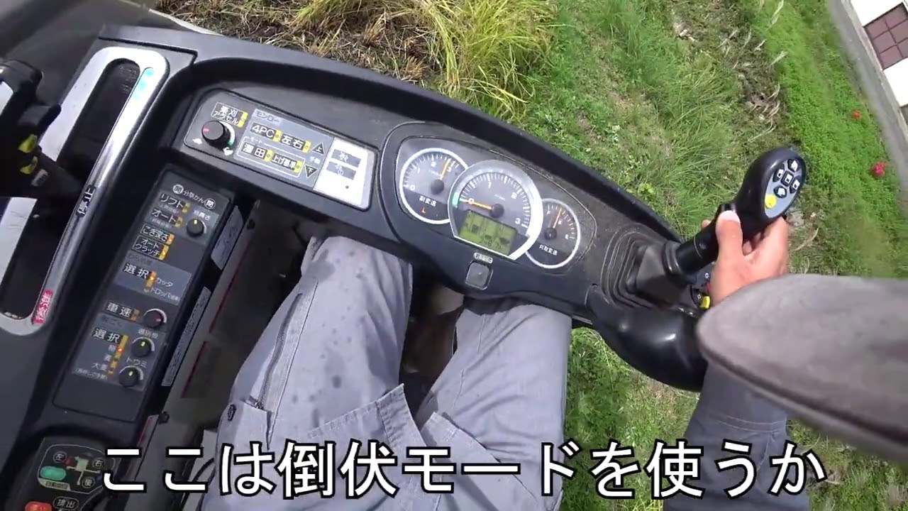 第１００回　倒伏稲刈り、まだマシな方？