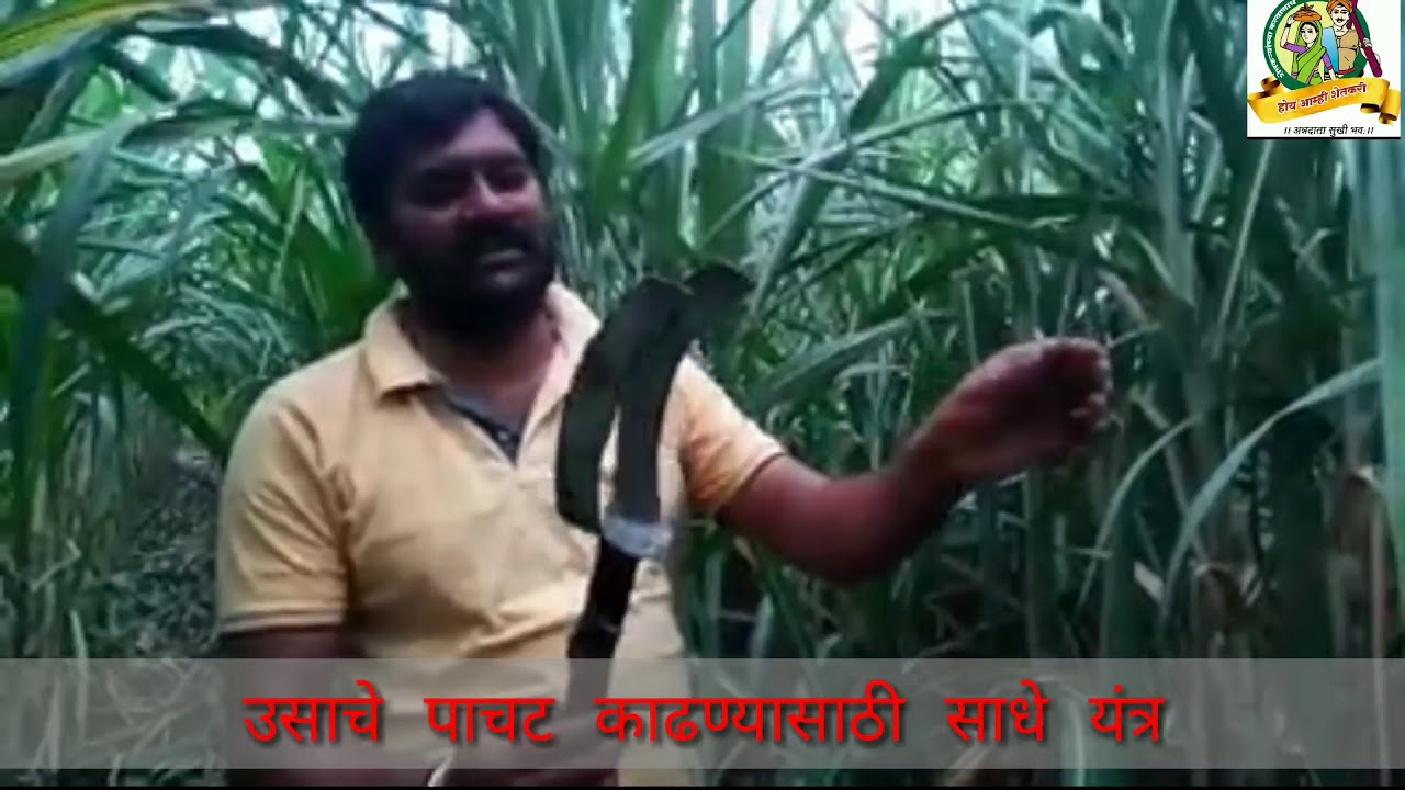 Tool for removing sugarcane trash!!! उसाचे पाला काढण्याचे साधे यंत्र..