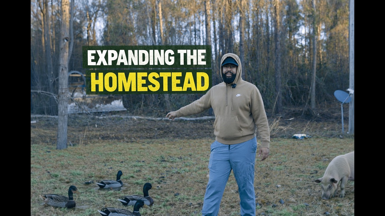 Expanding The Homestead